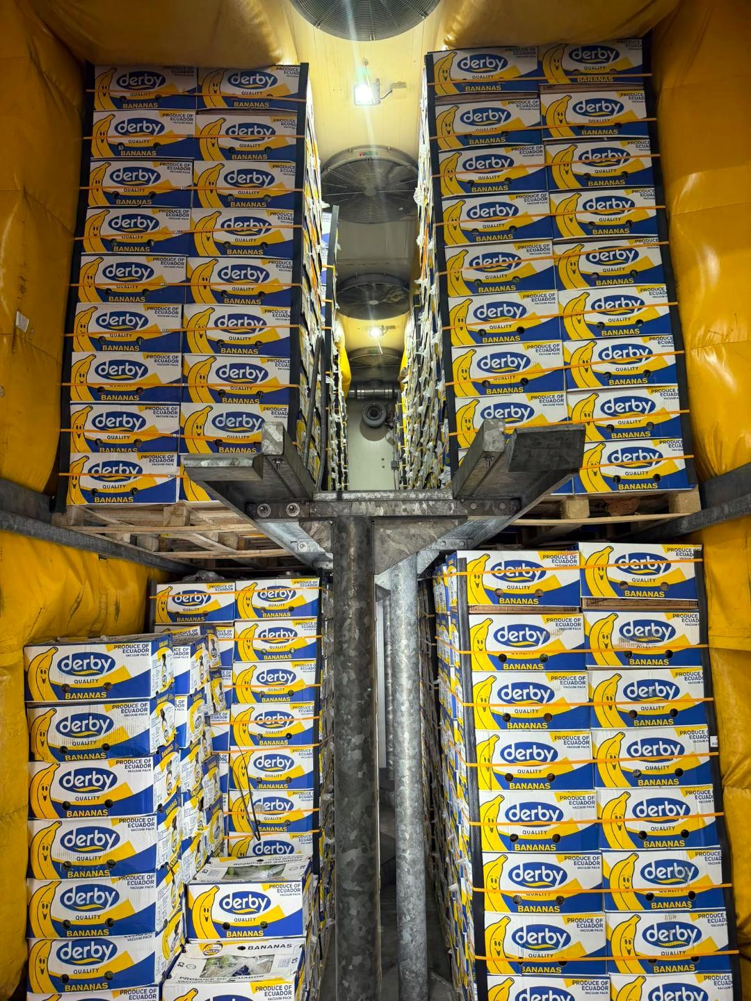 Banane iz Ekvadora u komori za zrenje