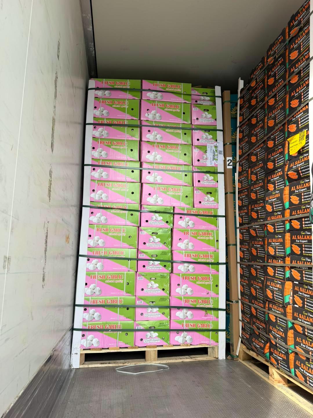 Paleta belog luka u hladnjači