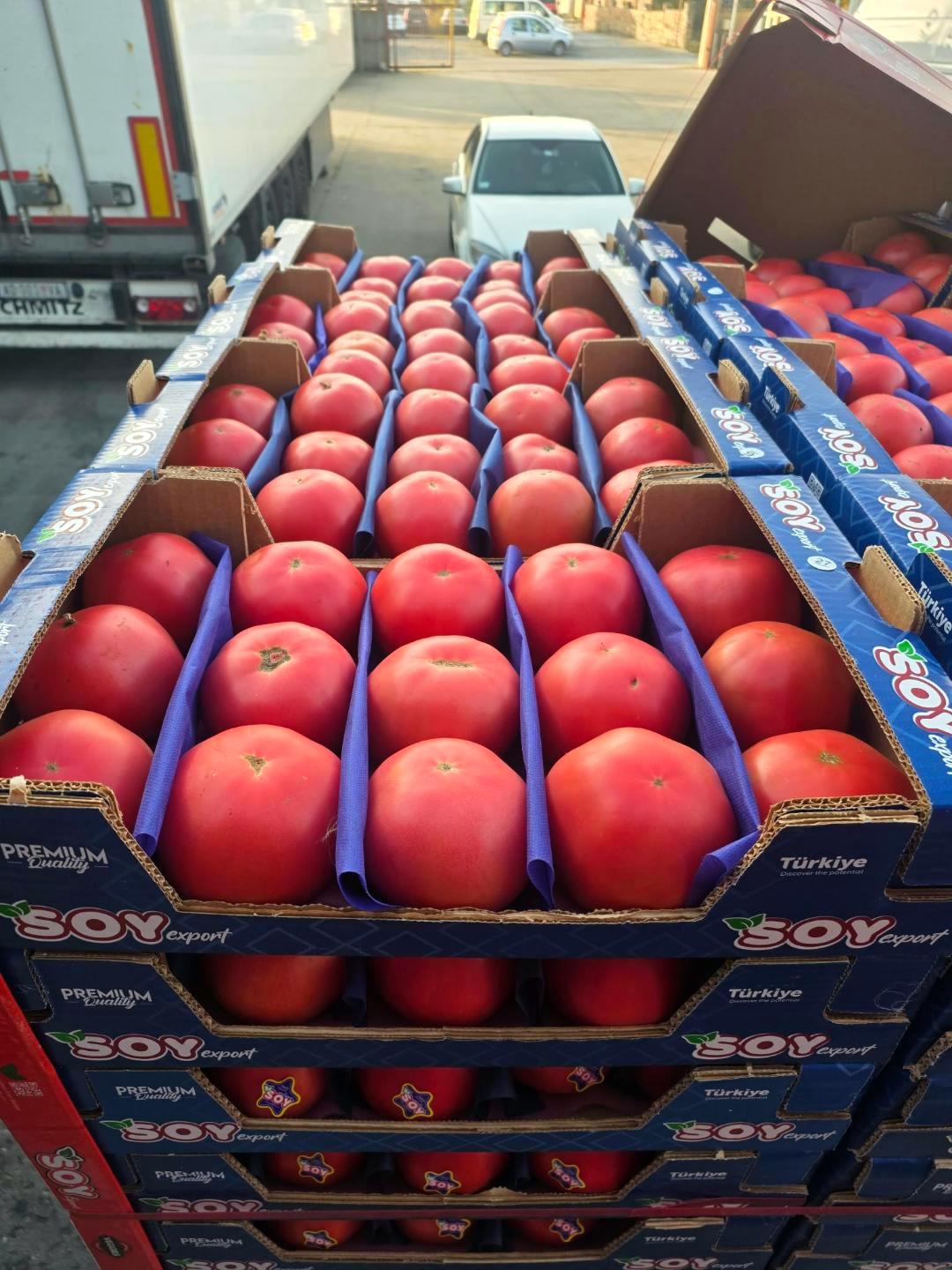 Krupni roze paradajz iz Turske