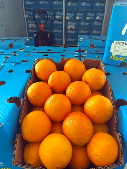 Pomorandže u plavim kutijama